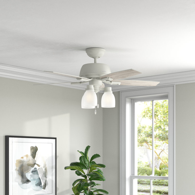 Hunter Fan Donegan 44'' Ceiling Fan with Light Kit & Reviews Wayfair